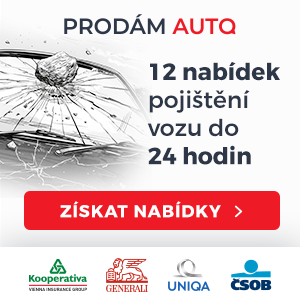 Pojištění - sklo 300x300