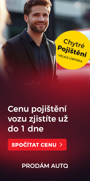 Pojištění - chytré pojištění 300x600