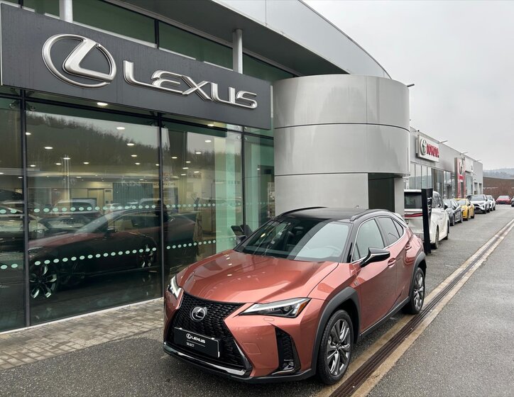 Lexus UX 300h SUV 2,0 l 135 kw