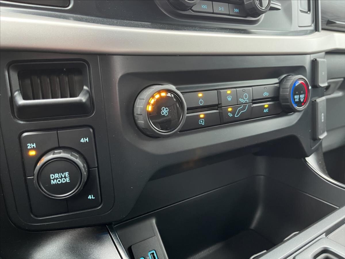 Ford F-150 Pick-up 5,0 l 298 kw