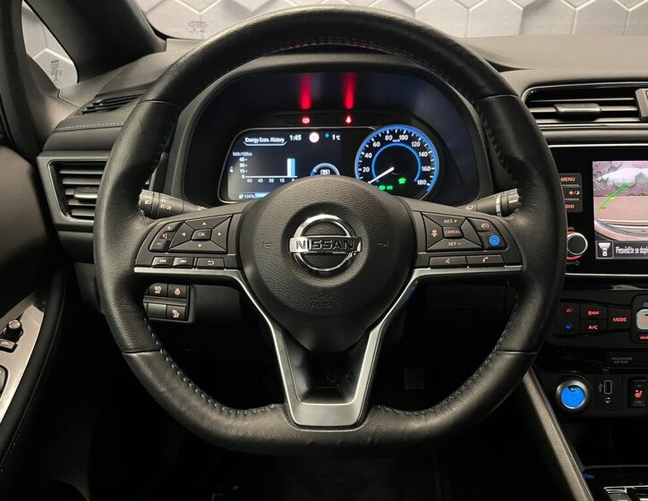 Nissan Leaf Hatchback 0,0 110 kw