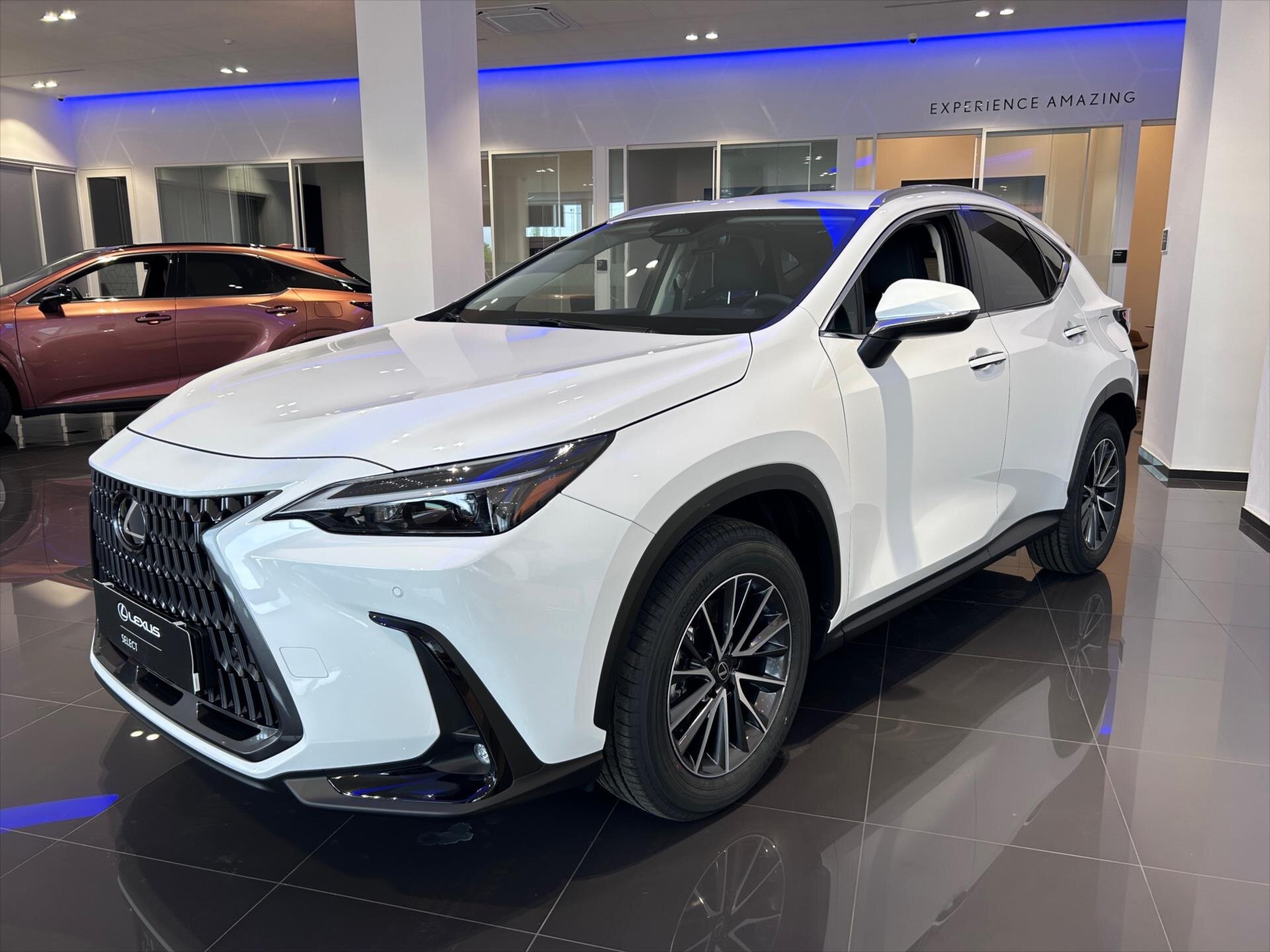 Lexus NX 350h SUV / Terénní 2,5 l 146 kw