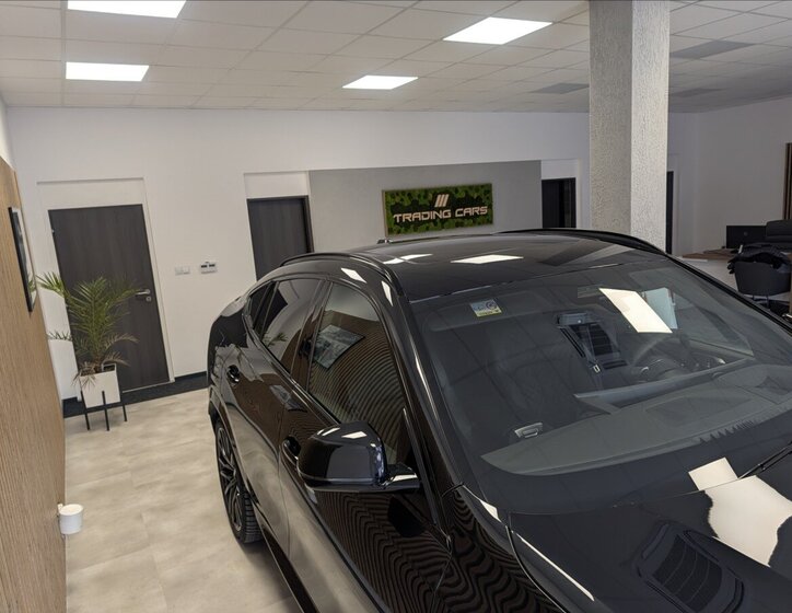 BMW X6 Sedan 3,0 l 210 kw