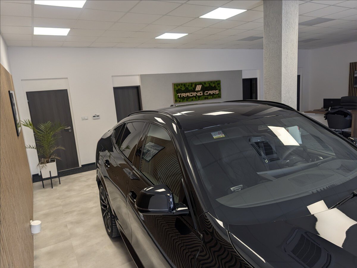 BMW X6 Sedan 3,0 l 210 kw