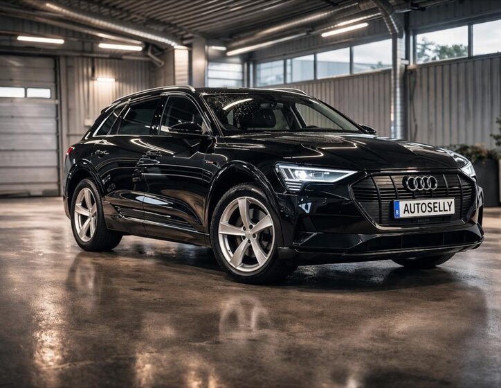 Audi e-tron Kombi 0,0 230 kw