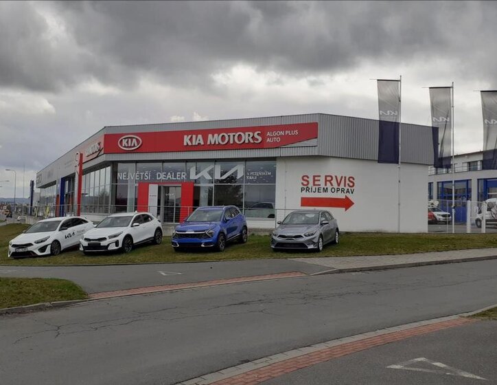 KIA Niro CUV 1,6 l 95 kw