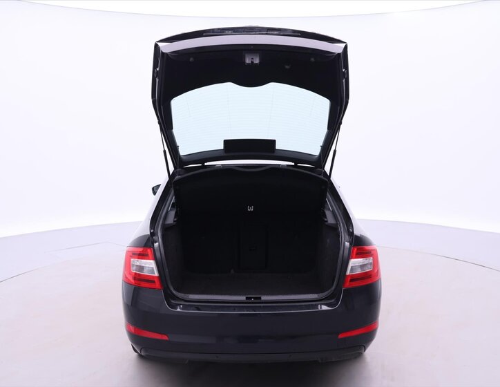 Škoda Octavia Sedan / Limuzína 2,0 l 110 kw