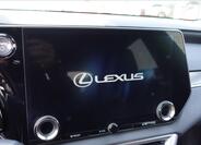 Lexus RX 500h 20