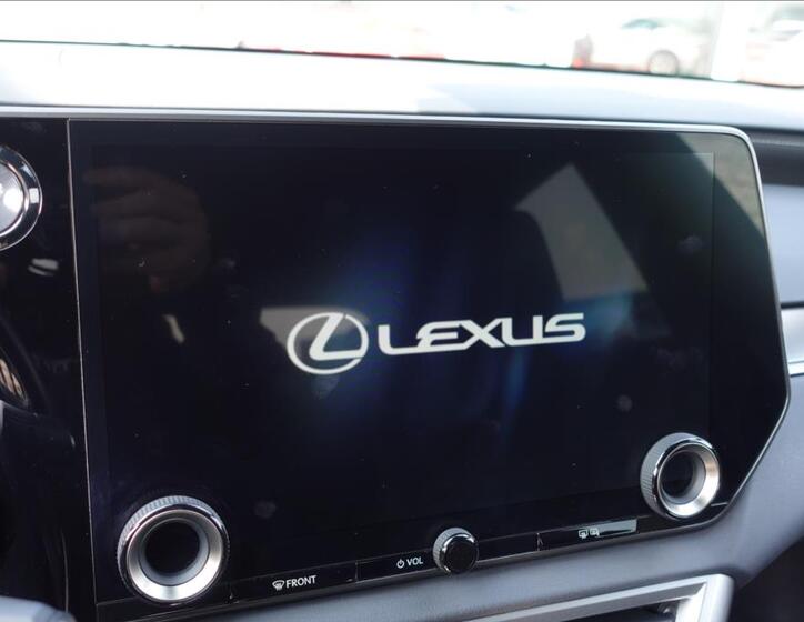 Lexus RX 500h 20