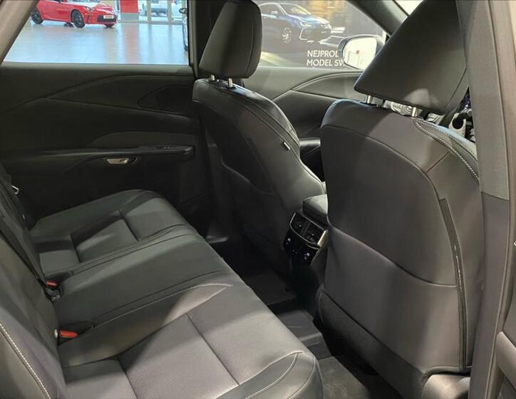 Lexus RX 450h plus 13