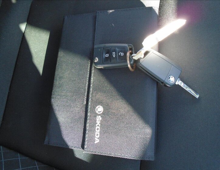 Škoda Karoq MPV 999,0 85 kw