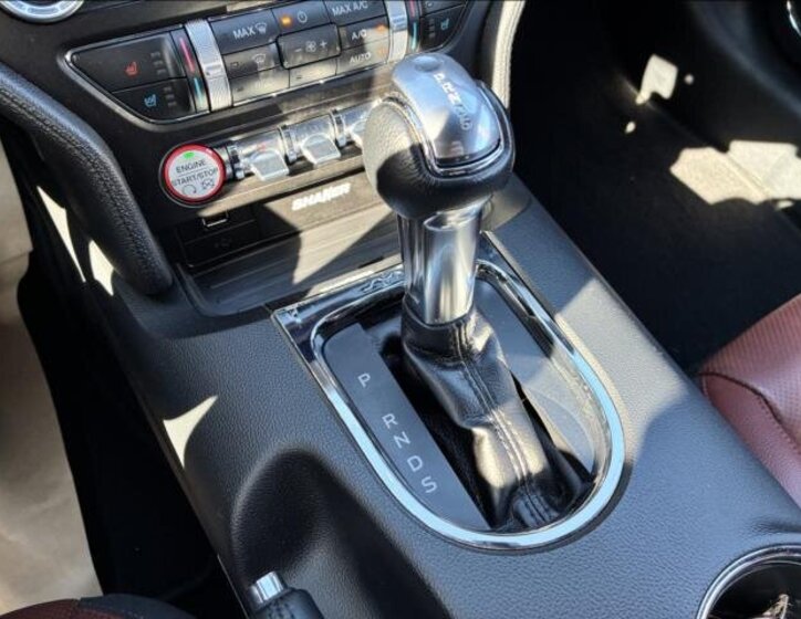 Ford Mustang Kabriolet 5,0 l 310 kw