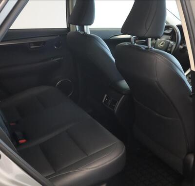 Lexus NX 300h 19