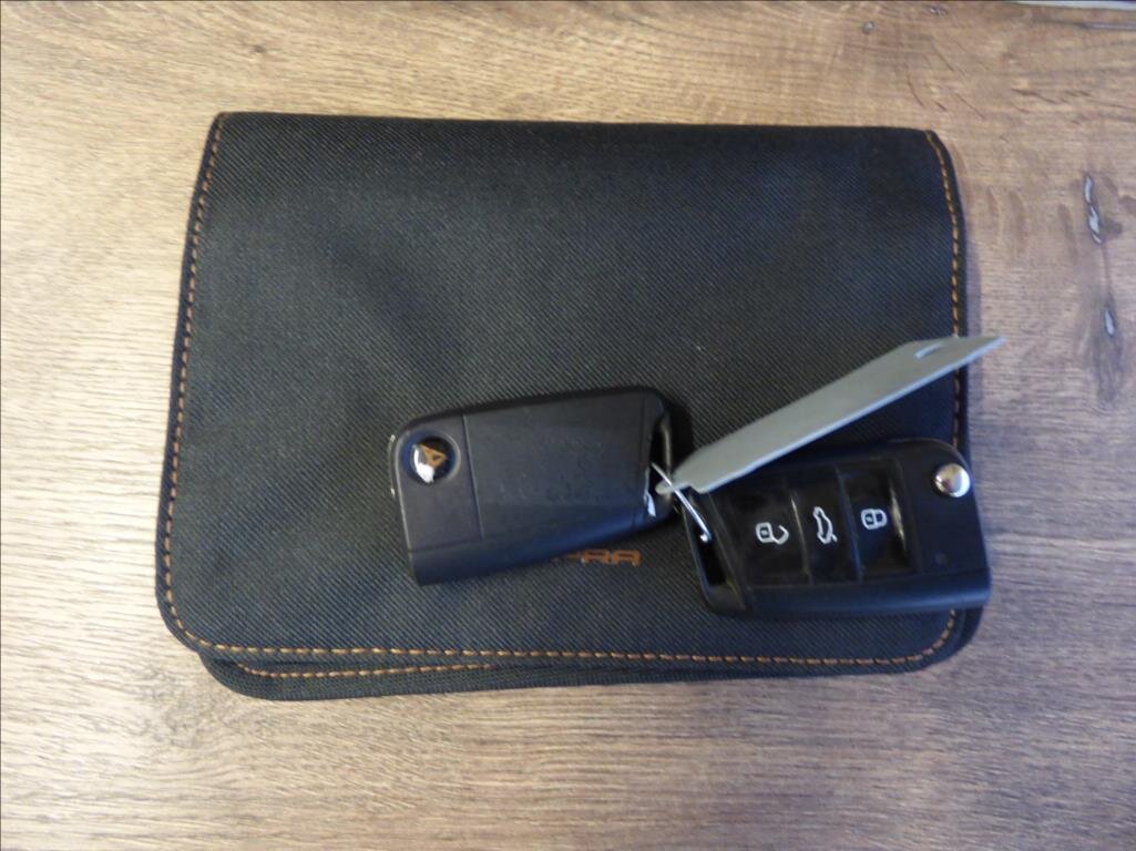 Cupra Ateca SUV / Terénní 2,0 l 221 kw