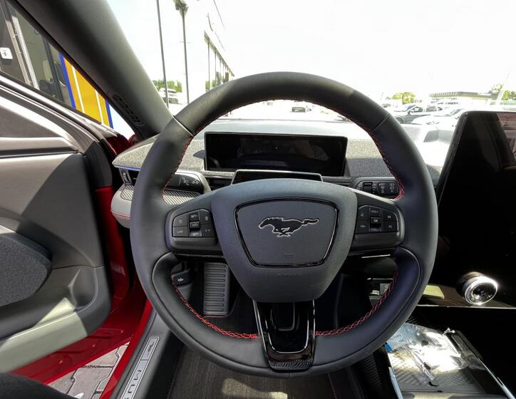 Ford Mustang Mach-E 24