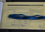 Hyundai Tucson SUV 1,6 l 100 kw