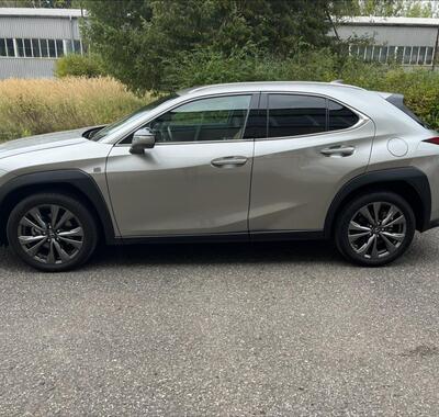 Lexus UX 250h 4