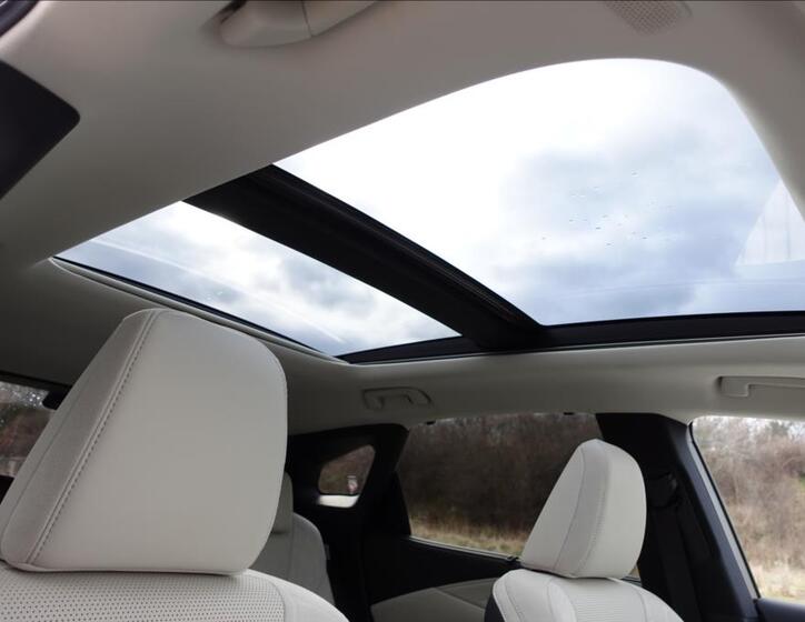 Lexus RX 450h plus 48