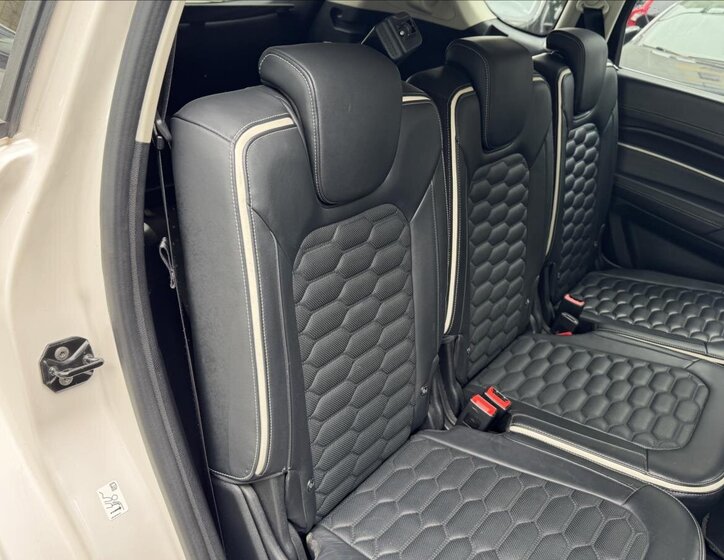 Ford S-MAX Kombi 2,0 l 110 kw