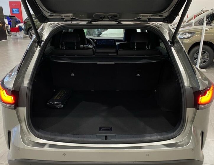 Lexus RX 450h plus 7