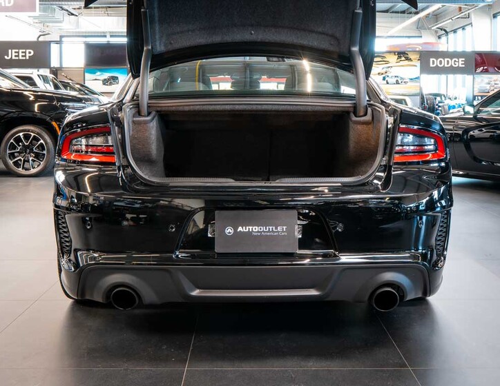 Dodge Charger 5