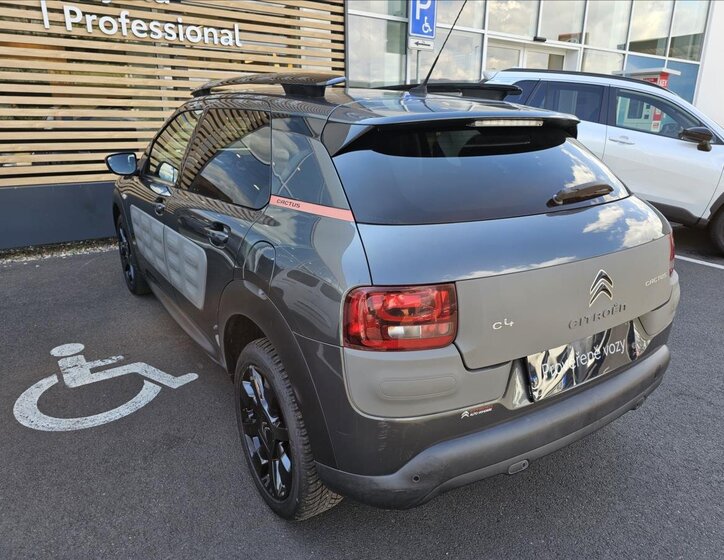 Citroën C4 Cactus 15