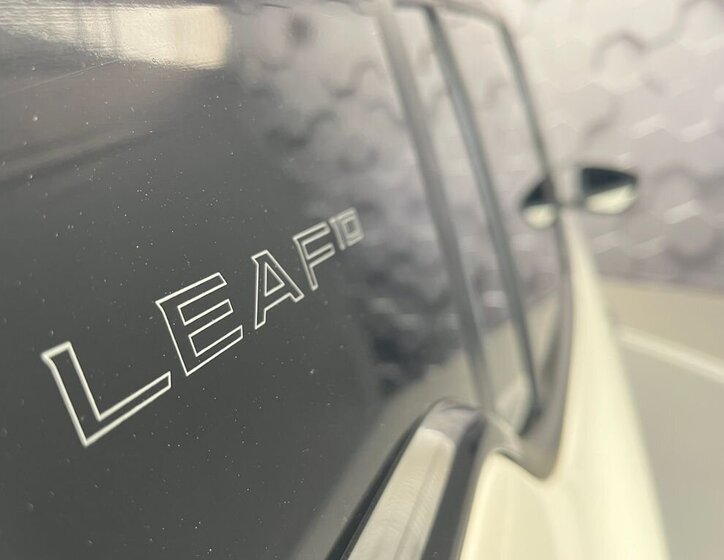 Nissan Leaf Hatchback 0,0 110 kw