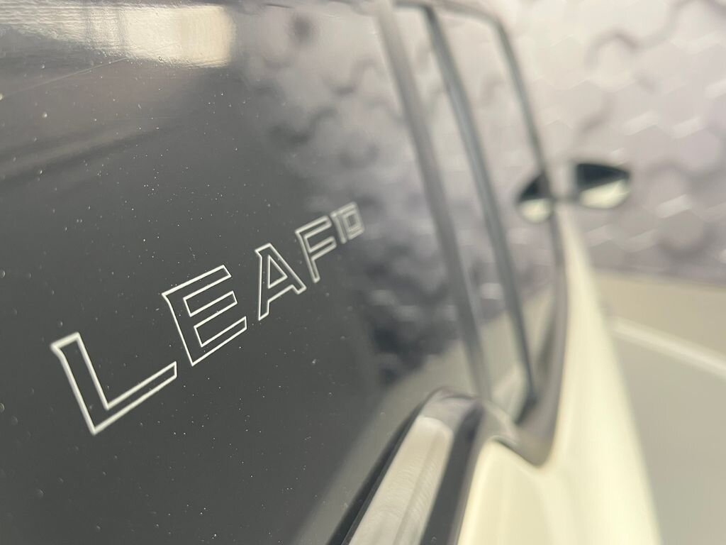 Nissan Leaf Hatchback 0,0 110 kw