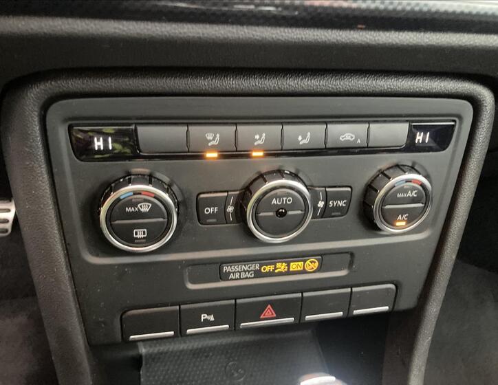 Volkswagen Beetle 13