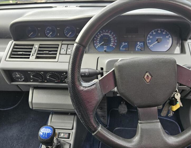 Renault Clio 17