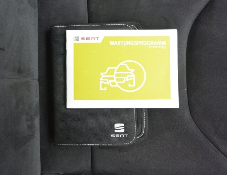 Seat Leon Hatchback 2,0 l 206 kw