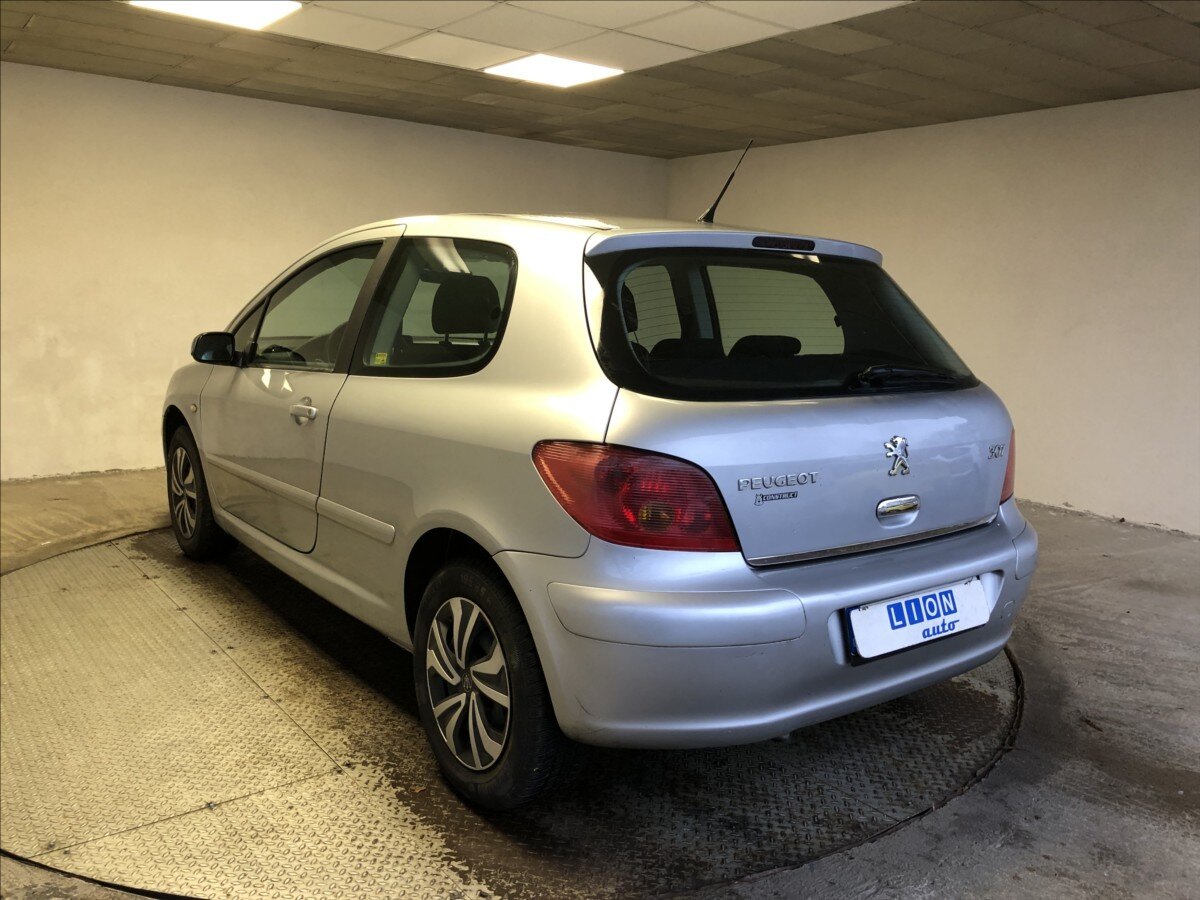 Peugeot 307 Hatchback 1,6 l 80 kw
