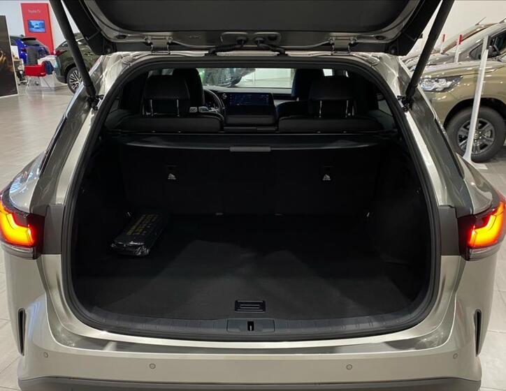 Lexus RX 450h plus 7