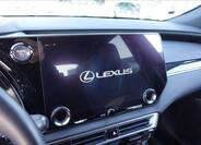 Lexus RX 350h 19