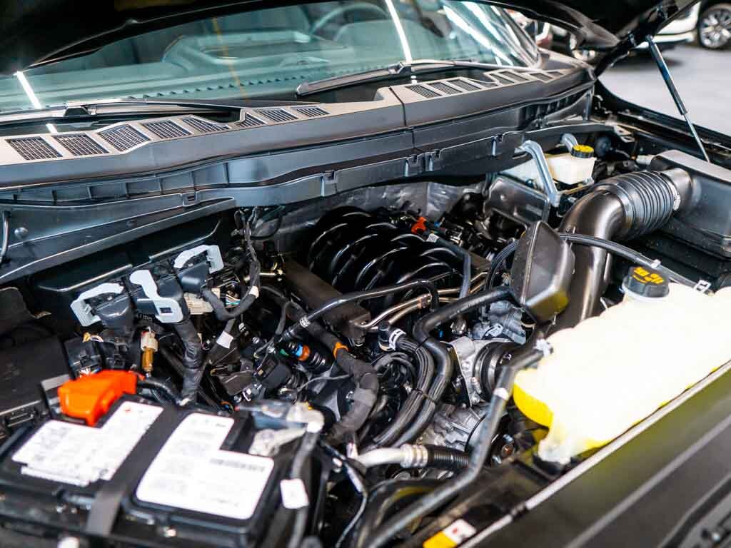 Ford F-150 Pick-up 5,0 l 298 kw