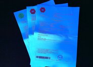 Citroën C4 Picasso Kombi 1,6 l 88 kw