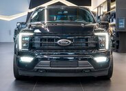 Ford F-150 Pick-up 5,0 l 298 kw