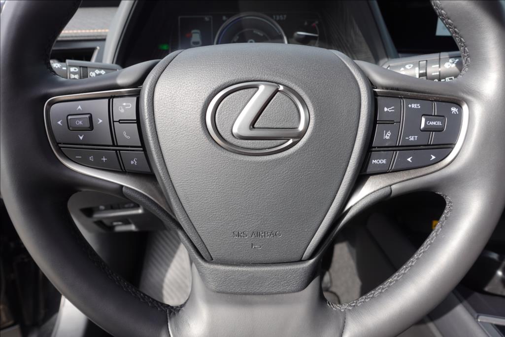 Lexus UX 250h