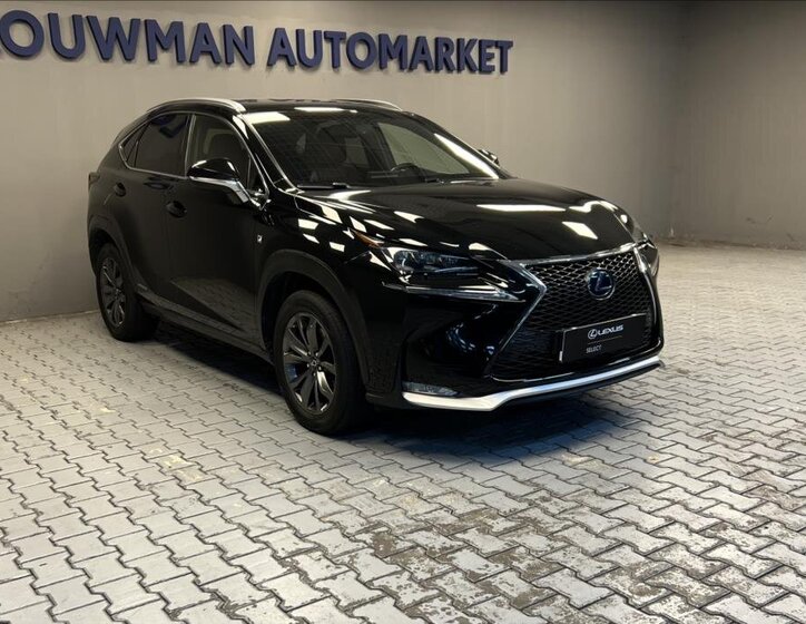 Lexus NX 300h 11