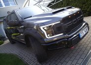 Ford F-150 Pick-up 5,0 l 287 kw
