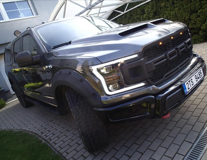 Ford F-150 Pick-up 5,0 l 287 kw