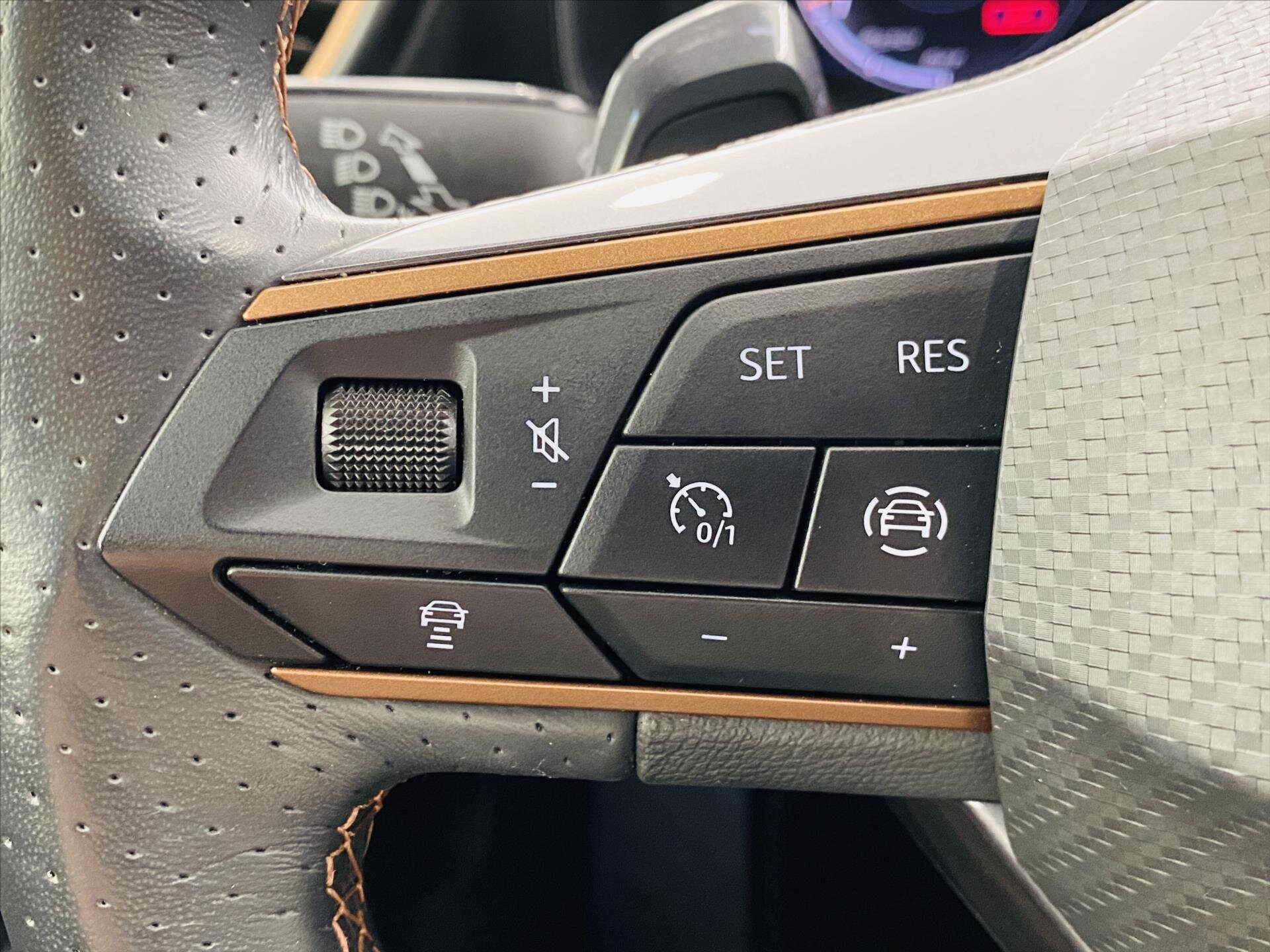 Cupra Formentor CUV / Crossover 1,5 l 110 kw