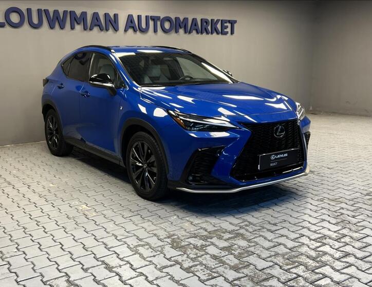 Lexus NX 450h plus 11