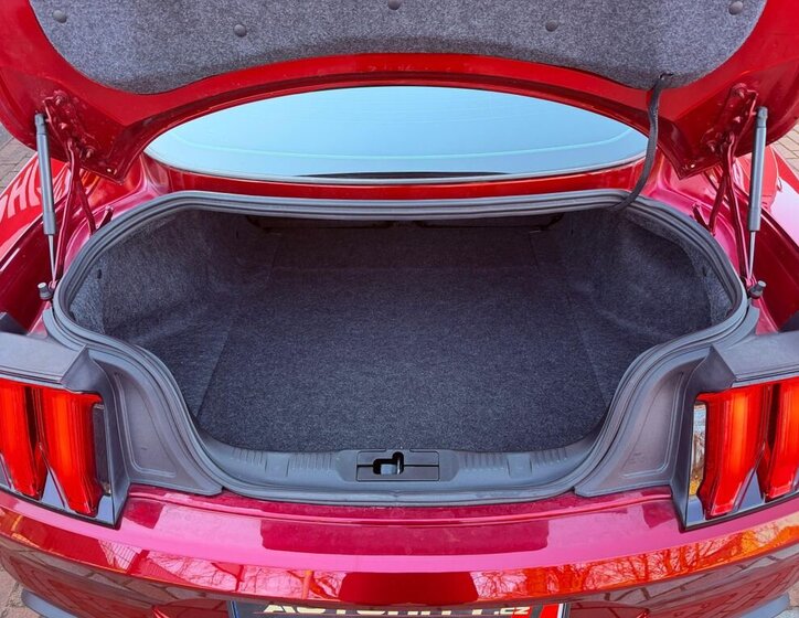 Ford Mustang Kupé 5,0 l 331 kw