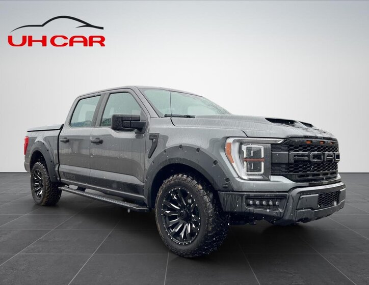 Ford F-150 Pick-up 5,0 l 298 kw