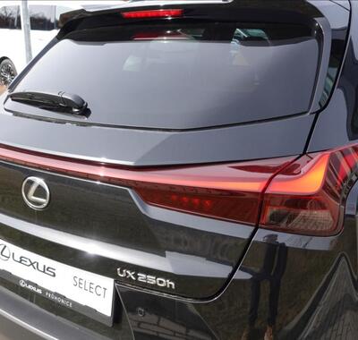 Lexus UX 250h 42