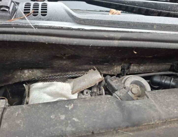 Škoda Octavia Ostatní 2,0 l 103 kw