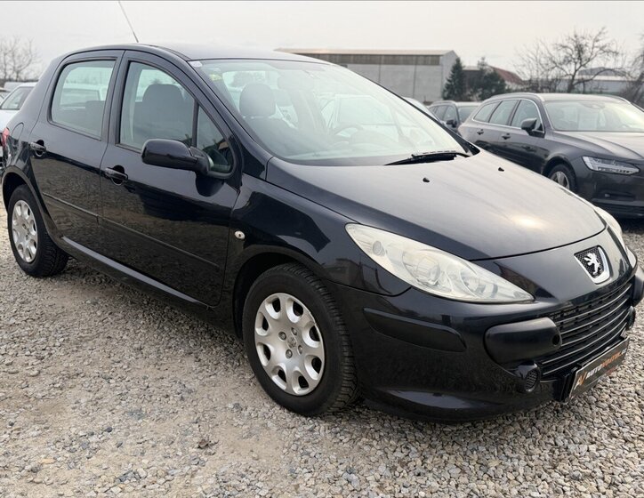 Peugeot 307 Hatchback 1,6 l 80 kw