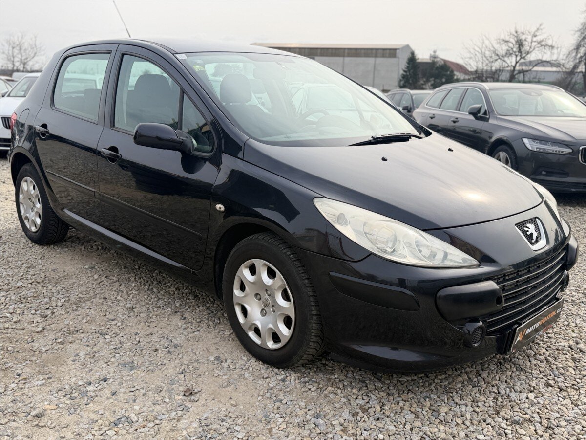 Peugeot 307 Hatchback 1,6 l 80 kw