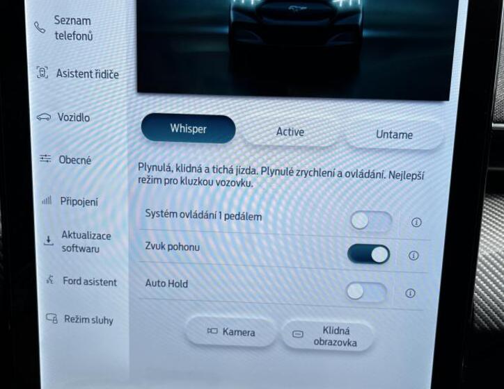 Ford Mustang Mach-E 39